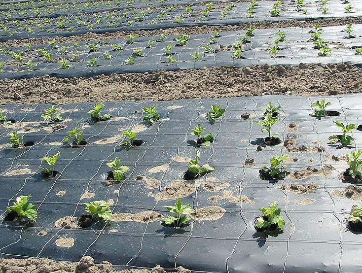 Нейлоновая мульча