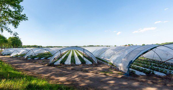 Широкий нейлон