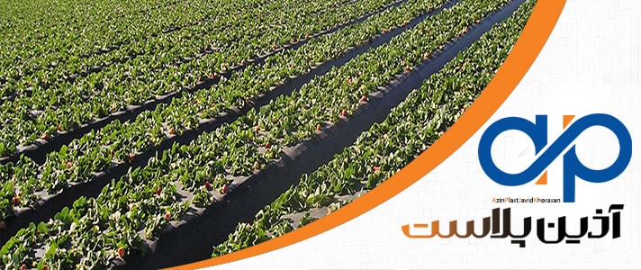 نایلون مالچ