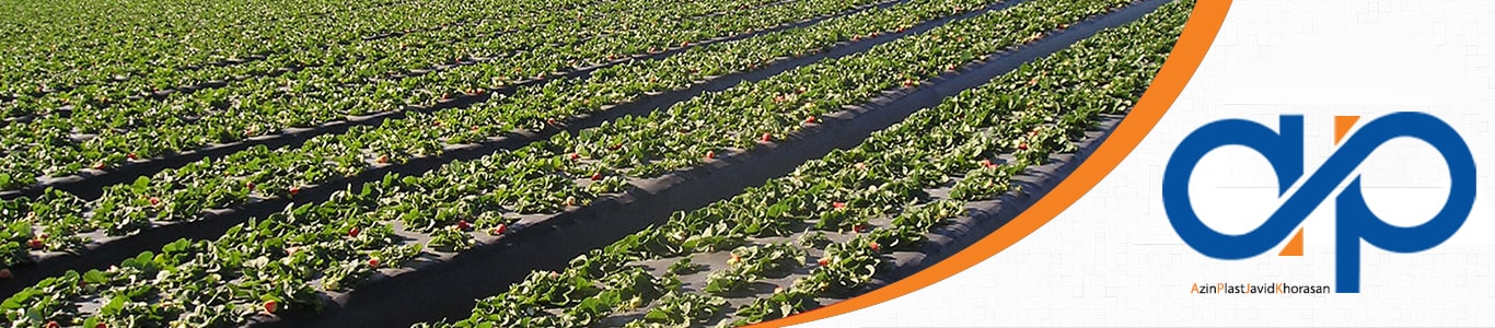 نشارة النايلون