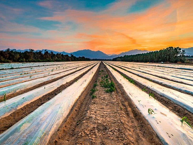 Нейлон для дезинфекции почвы