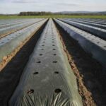 نایلون-کشاورزی_1