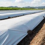 نایلون-کشاورزی_1