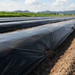 نایلون-کشاورزی_1