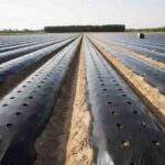 نایلون-کشاورزی_1